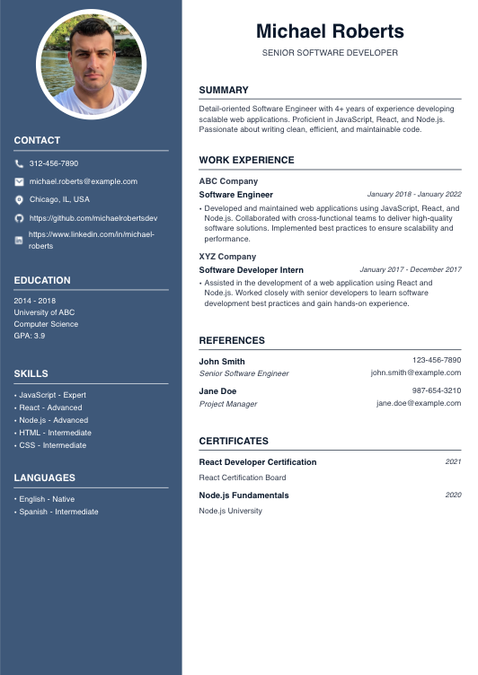 Senior Software Developer Resume Resume Template