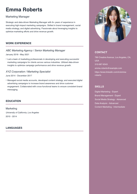 Marketing Manager Resume Resume Template