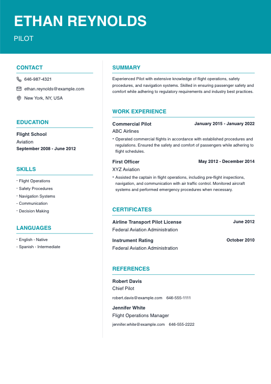 Simple and Professional Pilot Resume Template Resume Template